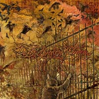 Daily Broken Dream - Freedoom