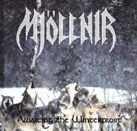 Mjöllnir - Awaiting the Winterfrost