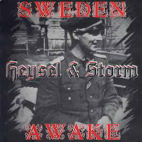 Heysel/Storm - Sweden awake