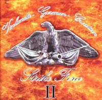 Vinlandic-German-Croatian Strike Force 2