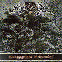 Nordglanz - Kampfhymnen Germaniens