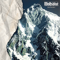 Wolfsblut - Blutsbrüder